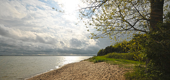 Palmer Ort Rügen